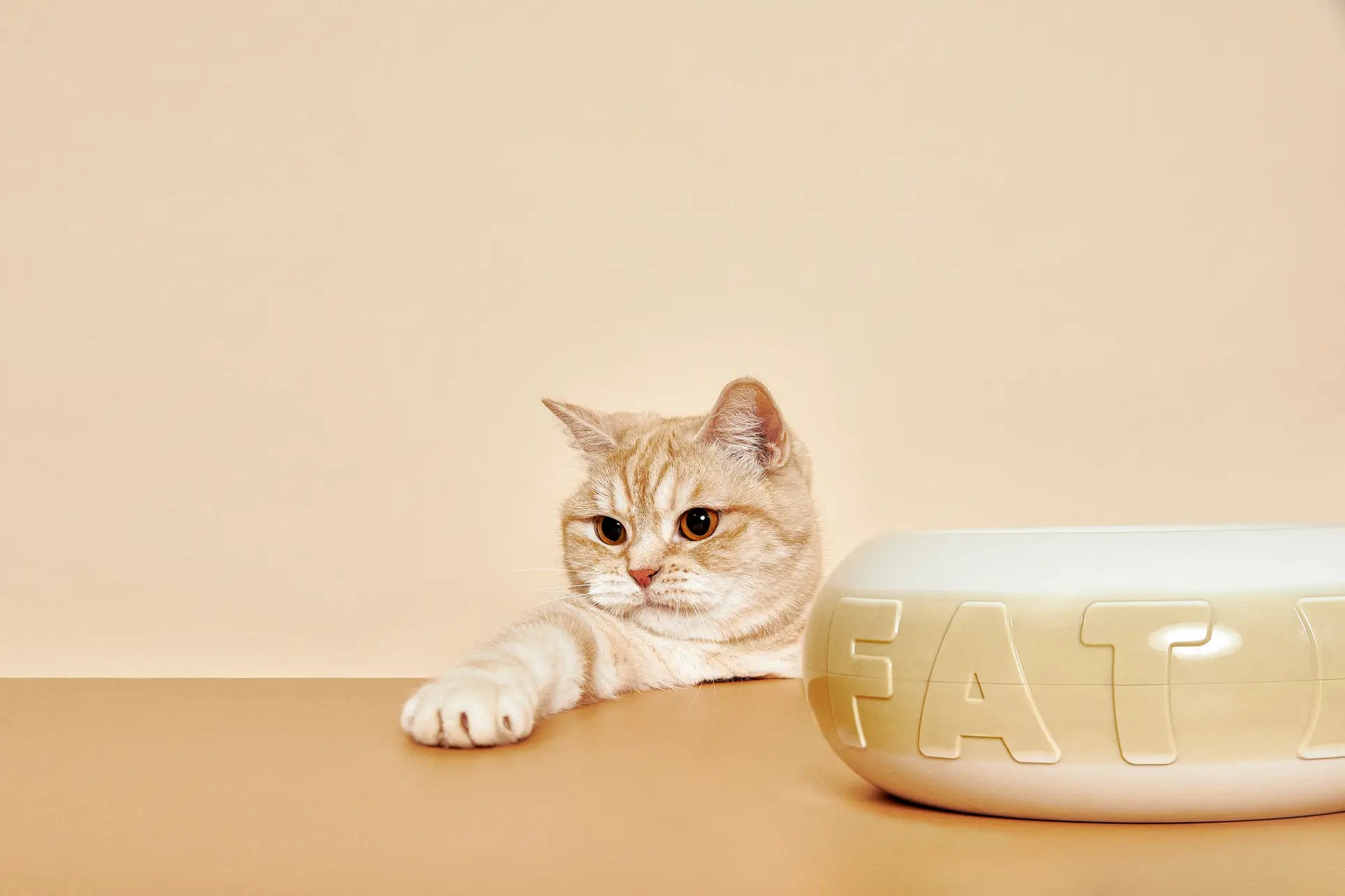 Plastic Ark Fat Bowl FB F1 03 Beige Cream 5