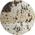 Quail Egg