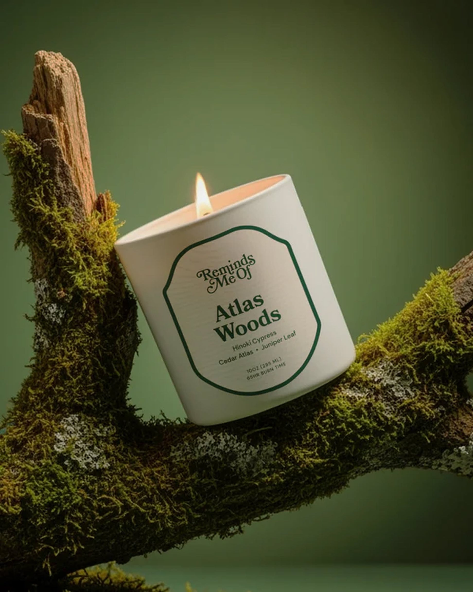 Reminds Me Of Atlas Wood Candle