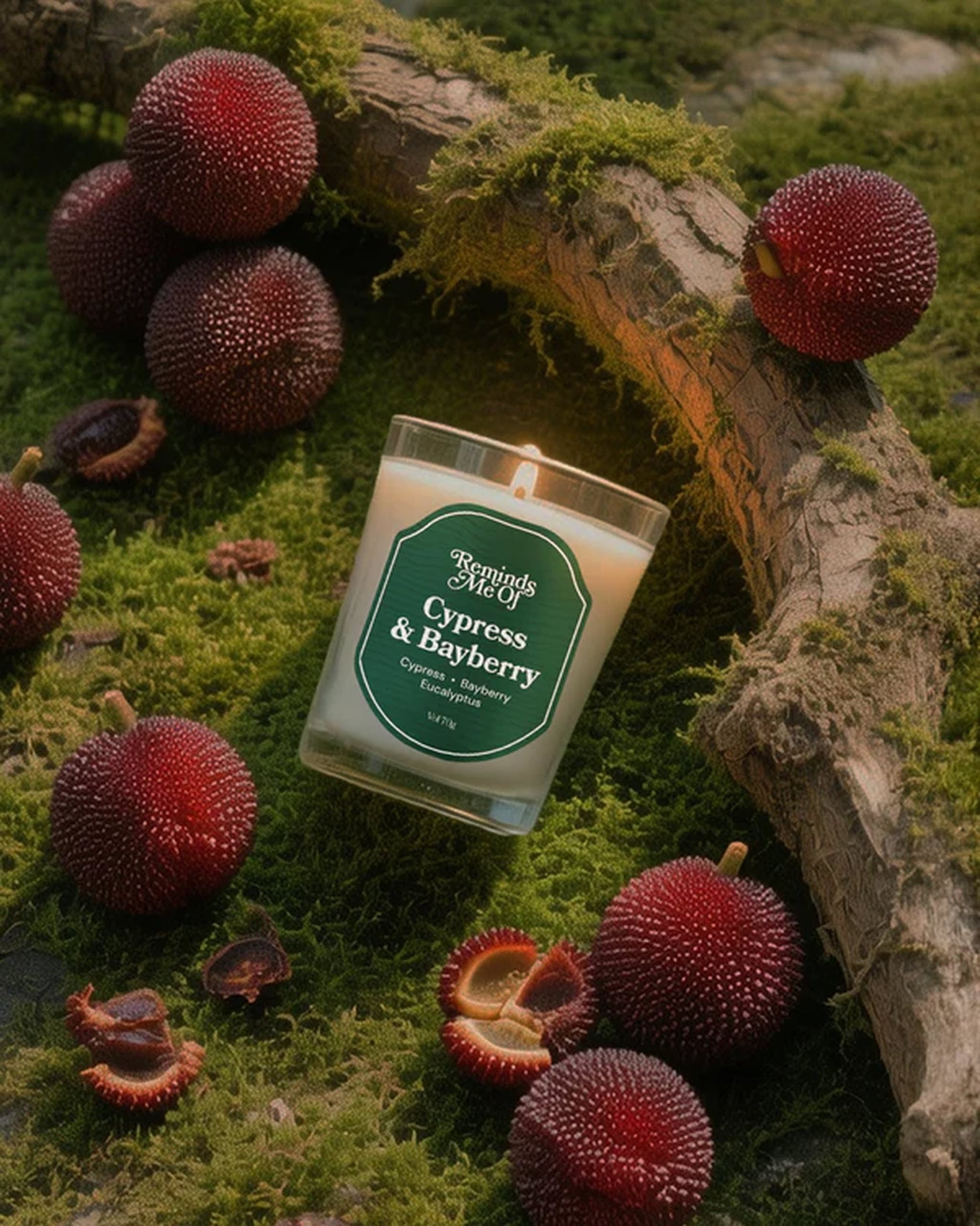 Reminds Me Of Cypress & Bayberry Mini Votive Candle