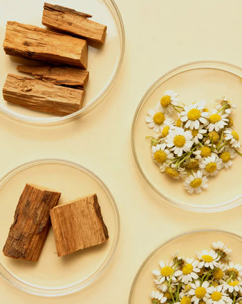 Reminds Me Of Dream State Botanical Reed Diffuser