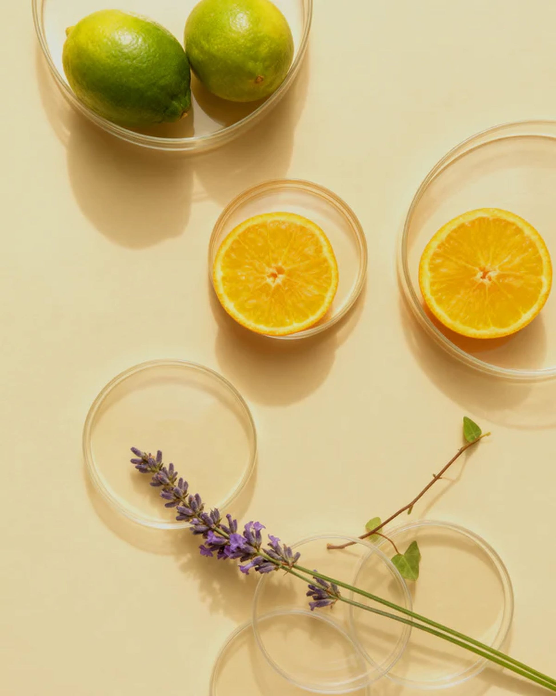 Reminds Me Of Golden Hour Botanical Reed Diffuser