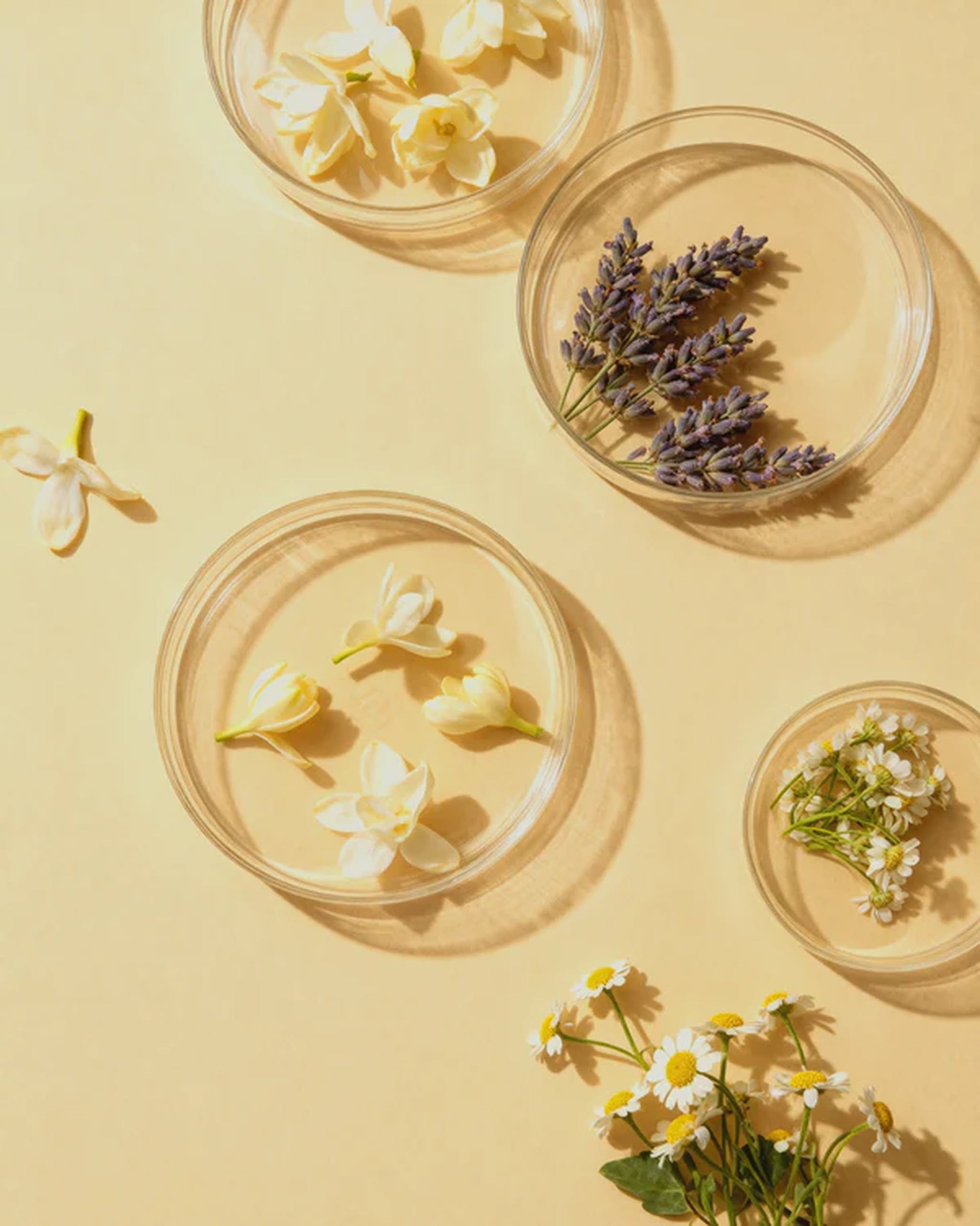 Reminds Me Of Velvet Bloom Botanical Reed Diffuser