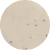 Speckle