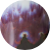 Stargaze