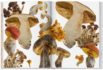 TASCHEN The Gourmand's Mushroom A Collection of Stories and Recipes