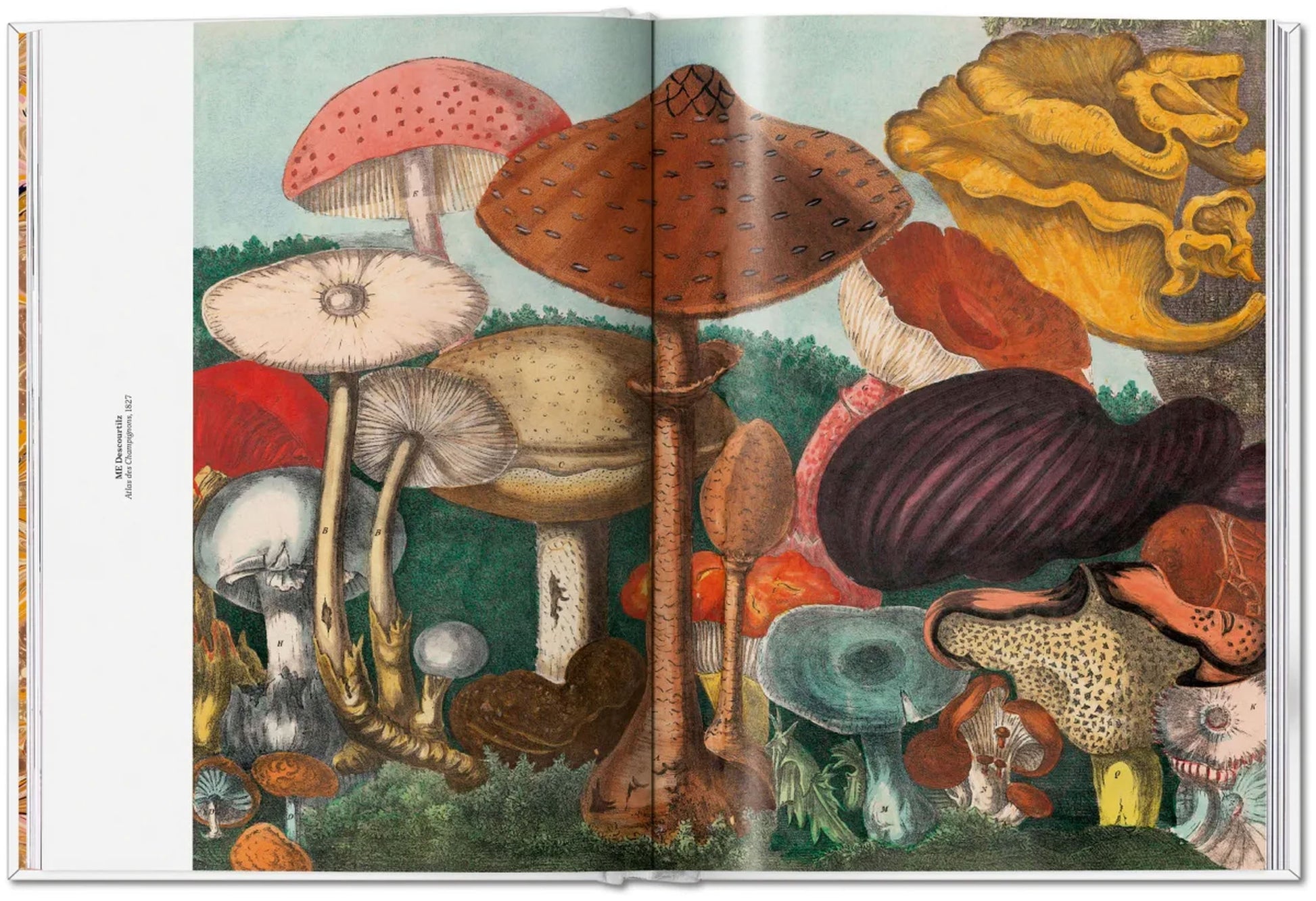 TASCHEN The Gourmand's Mushroom A Collection of Stories and Recipes