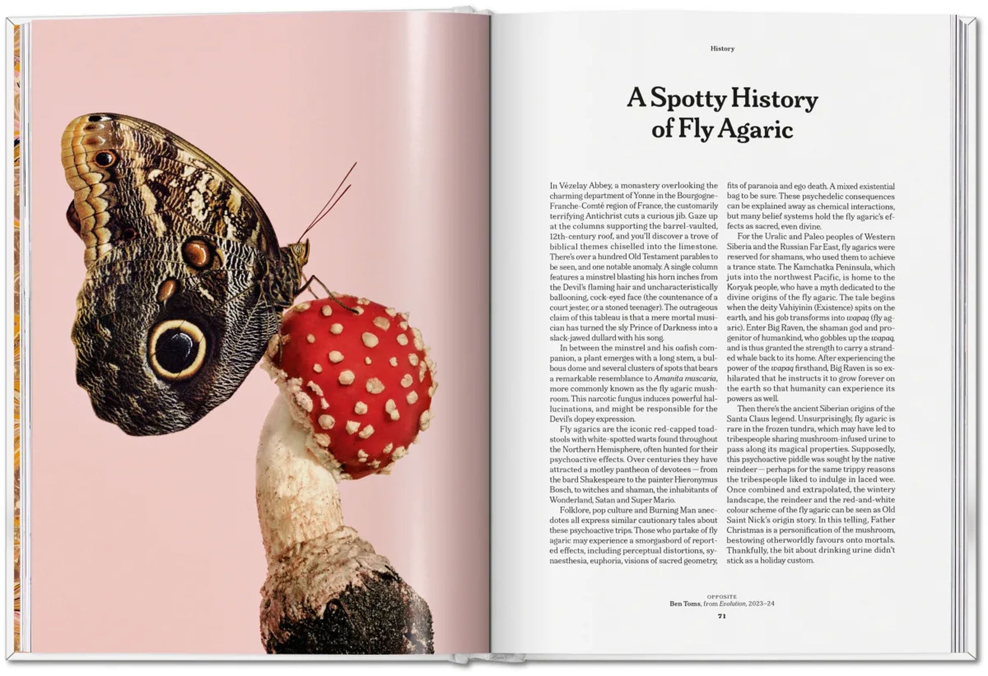 TASCHEN The Gourmand's Mushroom A Collection of Stories and Recipes