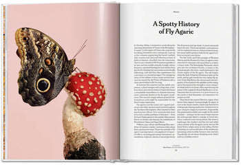 TASCHEN The Gourmand's Mushroom A Collection of Stories and Recipes