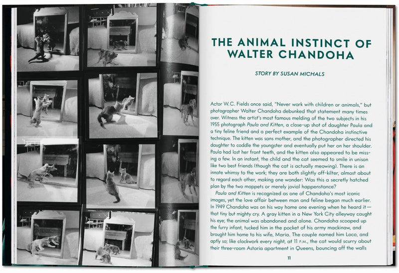 TASCHEN Walter Chandoha. Cats. Photographs 1942-2018