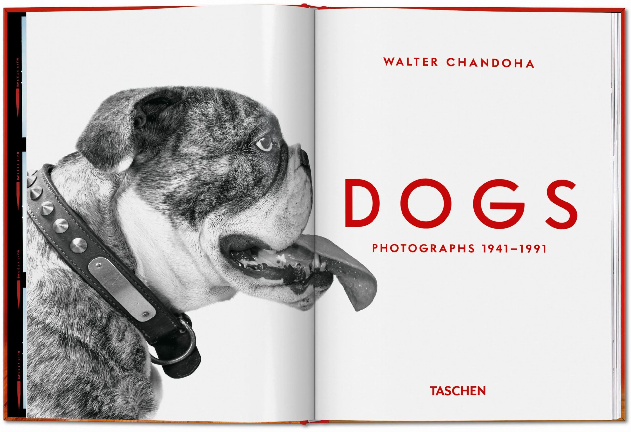 TASCHEN Walter Chandoha. Dogs. Photographs 1941-1991 (Pocket-Sized Edition)
