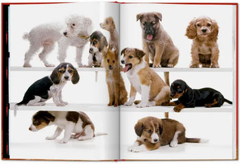 TASCHEN Walter Chandoha. Dogs. Photographs 1941-1991 (Pocket-Sized Edition)