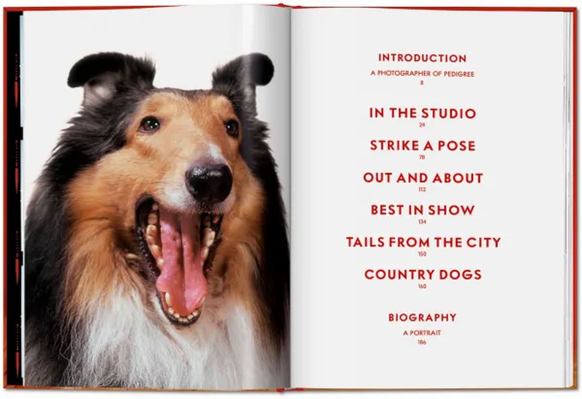 TASCHEN Walter Chandoha. Dogs. Photographs 1941-1991 (Pocket-Sized Edition)