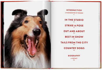 TASCHEN Walter Chandoha. Dogs. Photographs 1941-1991 (Pocket-Sized Edition)