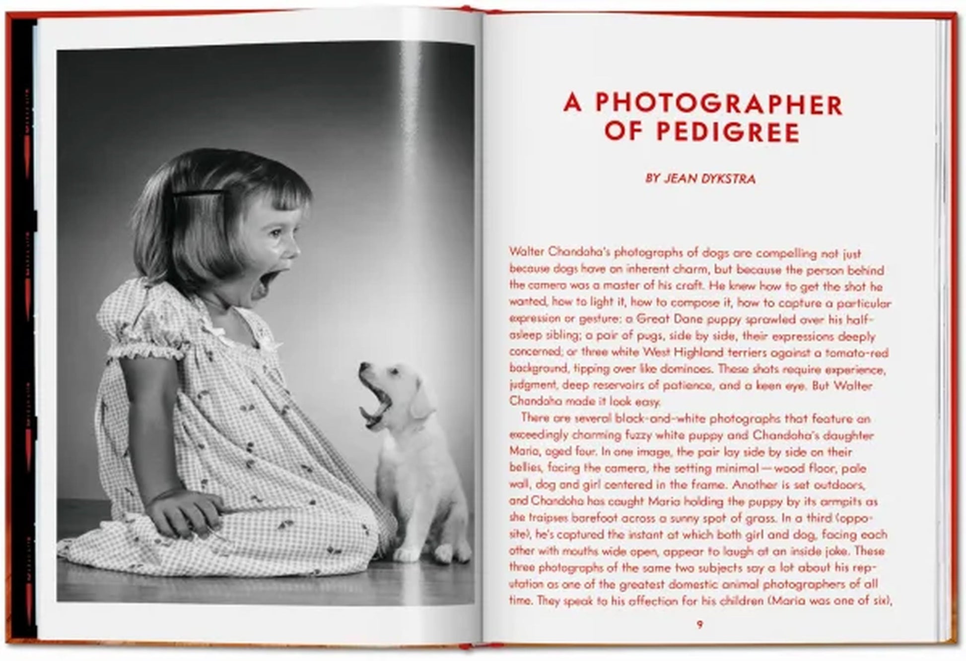 TASCHEN Walter Chandoha. Dogs. Photographs 1941-1991 (Pocket-Sized Edition)
