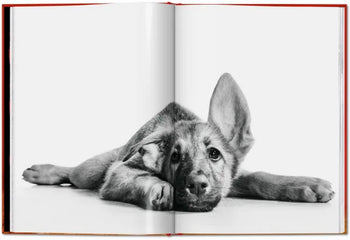 TASCHEN Walter Chandoha. Dogs. Photographs 1941-1991 (Pocket-Sized Edition)