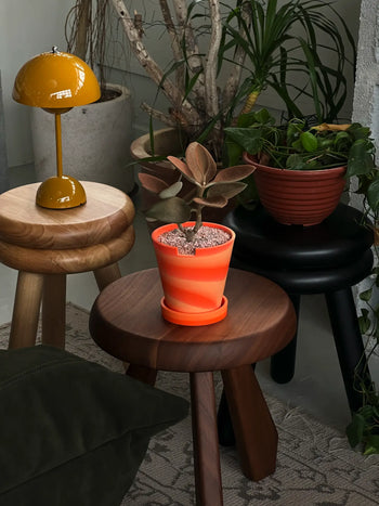 The 3 Keys Dirty Pot Arrangement The 3 Keys Collaboration Orange Light Orange Marble