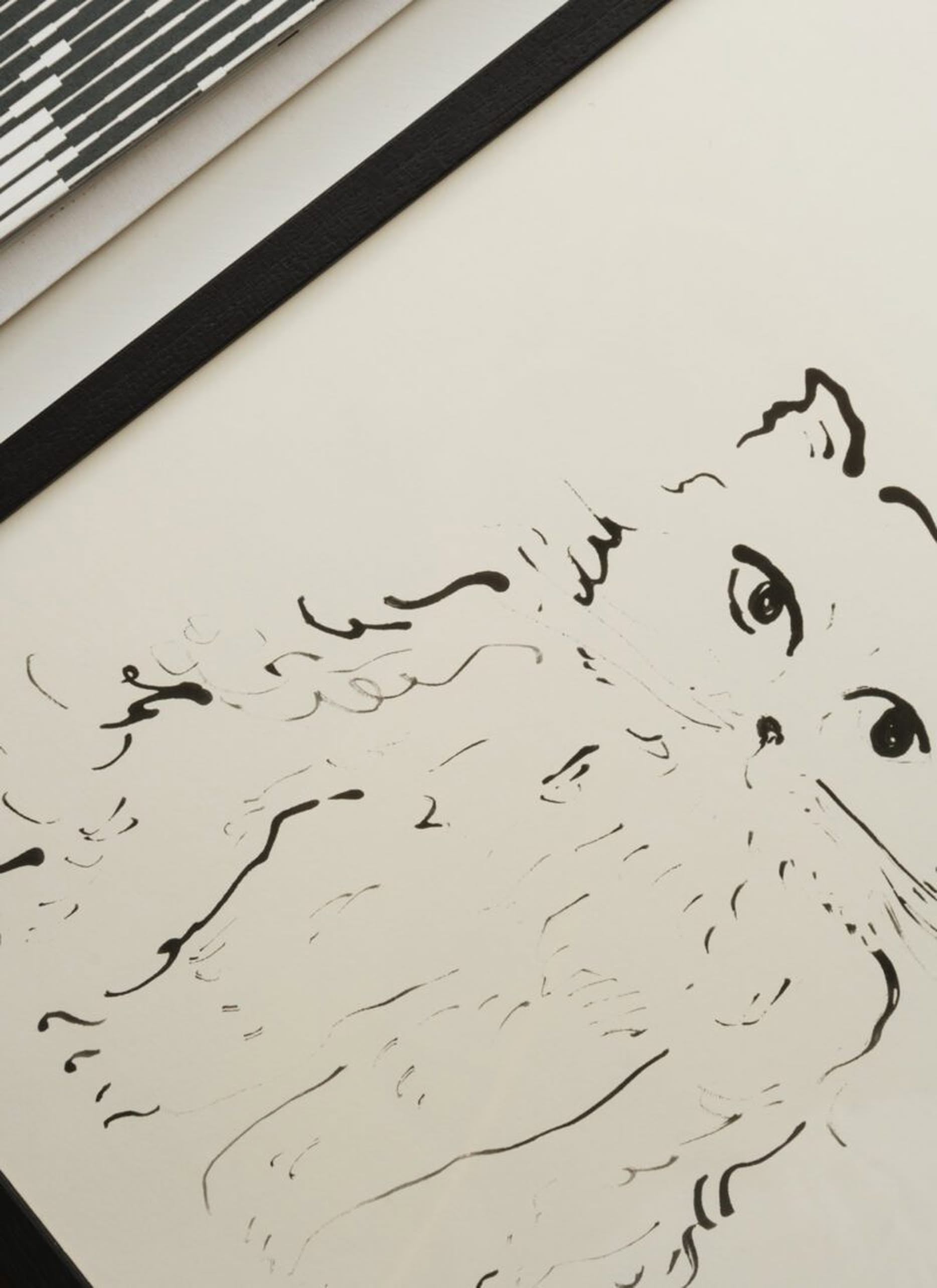 The Poster Club Oamul - Cat (30x40) - Poster