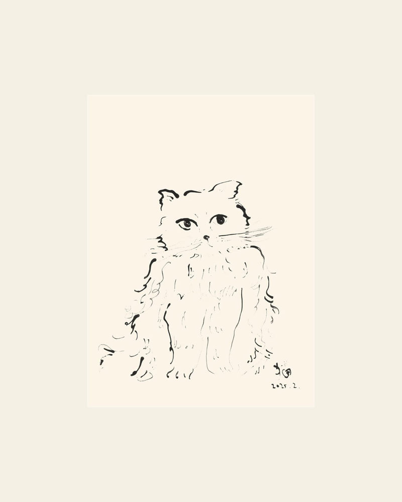 The Poster Club Oamul - Cat (50x70) - Poster