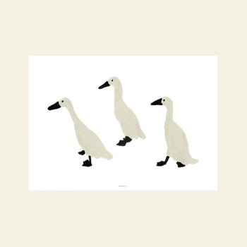 WARMGREY TAIL Indian Runner Ducks Poster (30x40)
