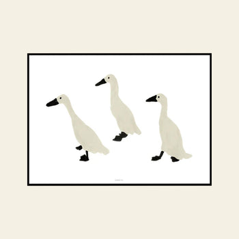 WARMGREY TAIL Indian Runner Ducks Poster (30x40)