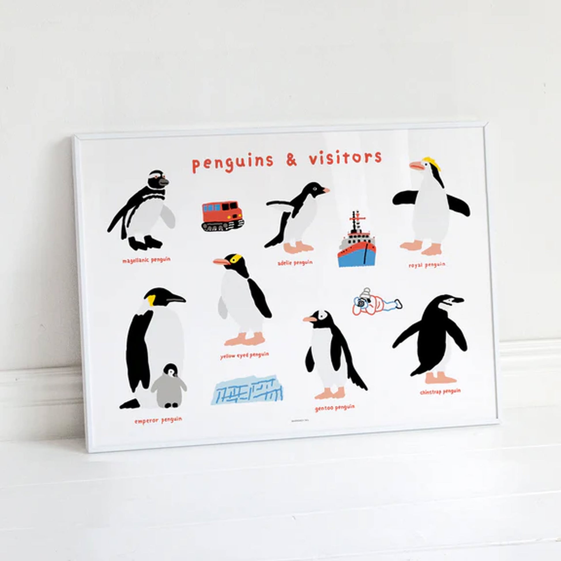 WARMGREY TAIL Penguins & Visitors Poster (30x40)