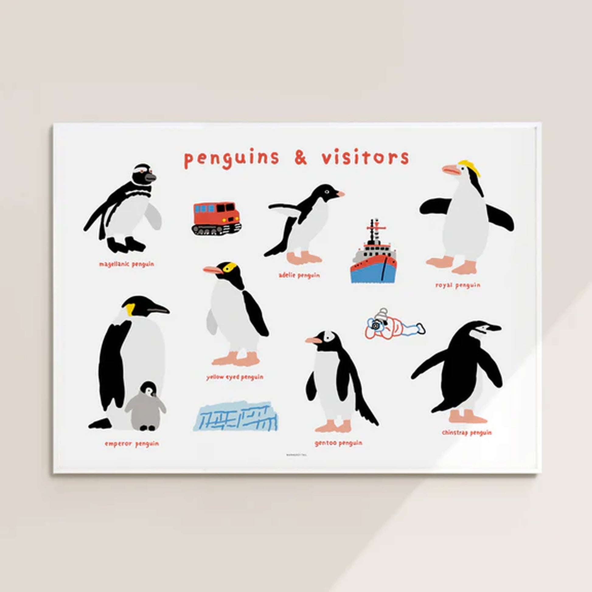 WARMGREY TAIL Penguins & Visitors Poster (30x40)