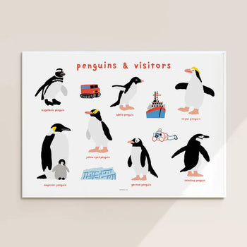 WARMGREY TAIL Penguins & Visitors Poster (30x40)