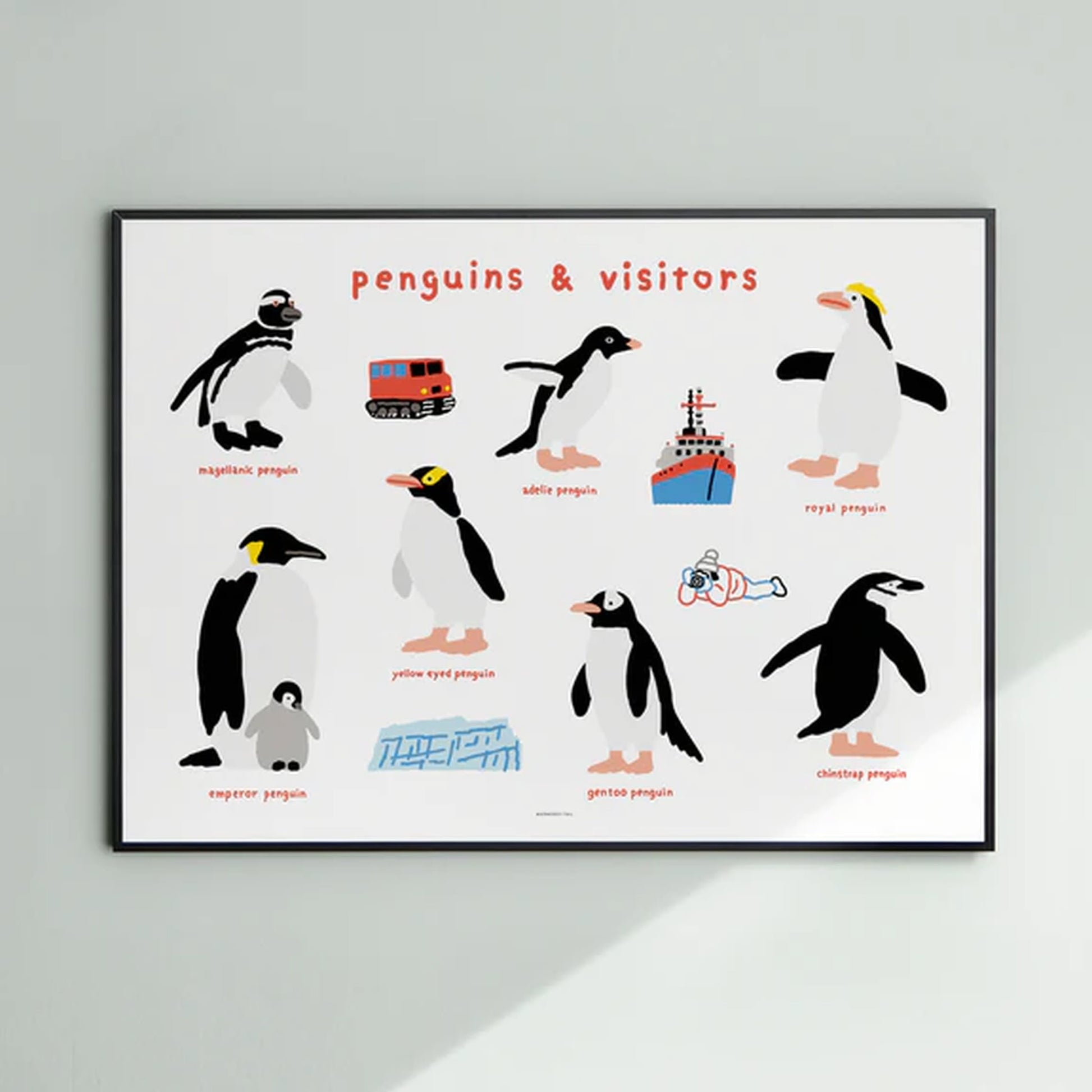 WARMGREY TAIL Penguins & Visitors Poster (30x40)