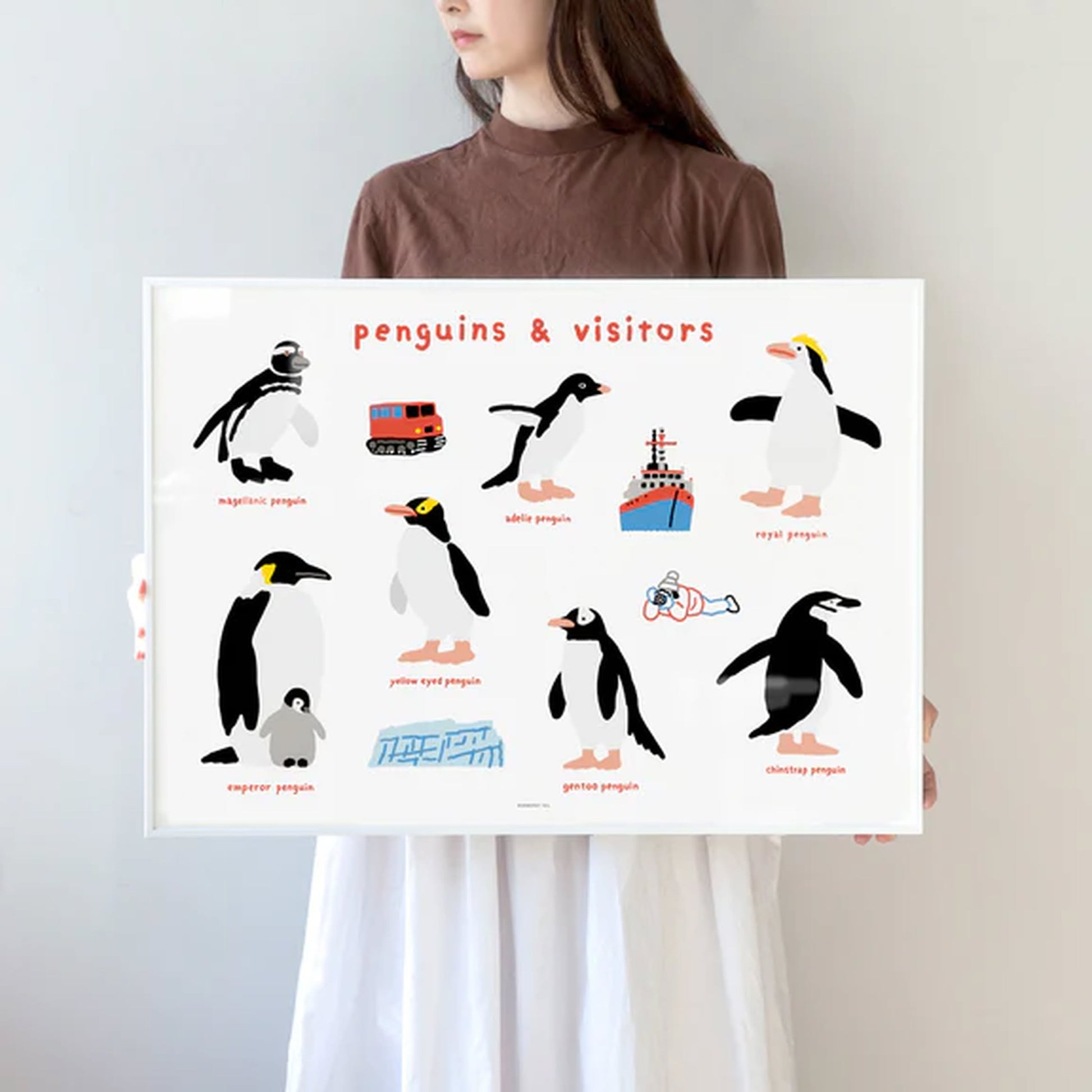 WARMGREY TAIL Penguins & Visitors Poster (30x40)