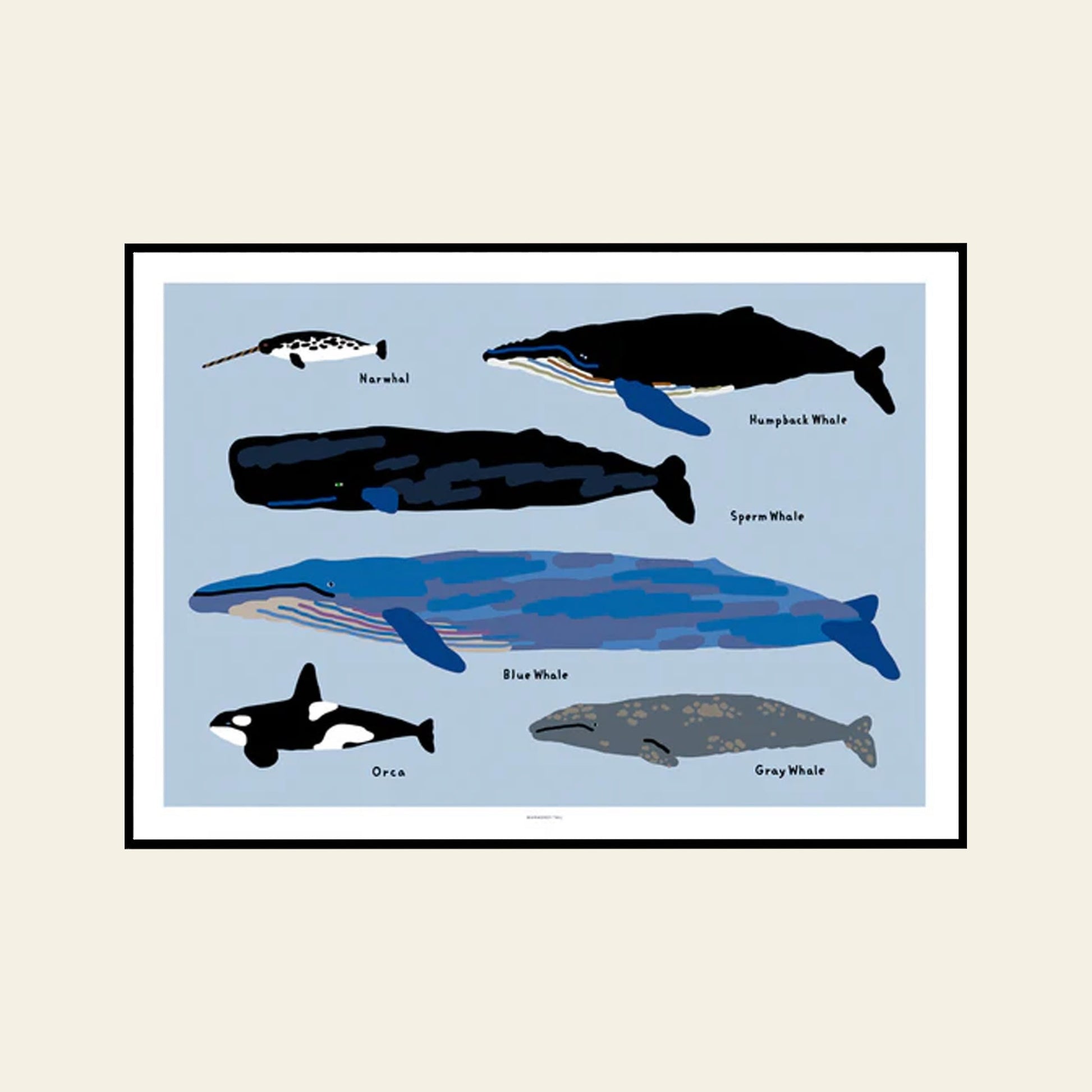 WARMGREY TAIL Whales Poster (30x40)