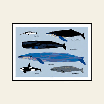 WARMGREY TAIL Whales Poster (30x40)