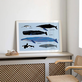 WARMGREY TAIL Whales Poster (30x40)