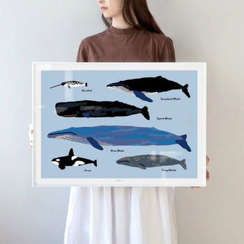 WARMGREY TAIL Whales Poster (30x40)