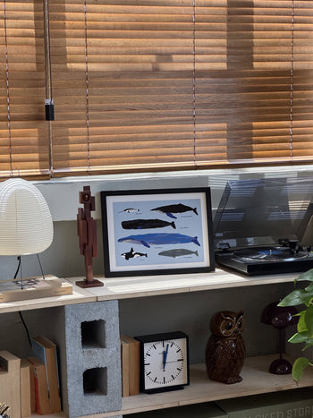 A sunlit shelf with the WARMGREY TAIL Whales Poster (30x40), turntable, clock, owl figurine, books, lamp, wooden figure, and concrete blocks—ideal décor for marine life lovers from the brand WARMGREY TAIL.