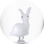White Rabbit