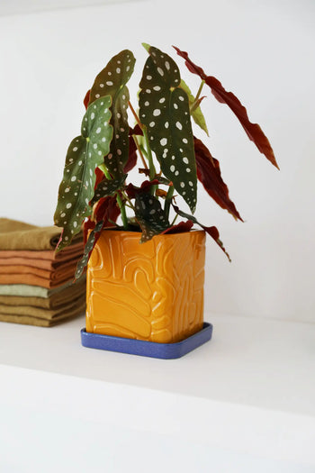 &klevering Tribe Planter (Ochre)