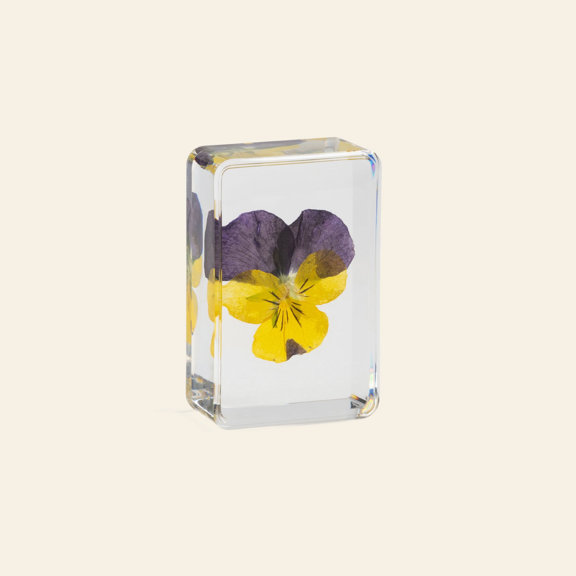&klevering Violet Cube