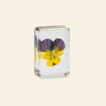 &klevering Violet Cube