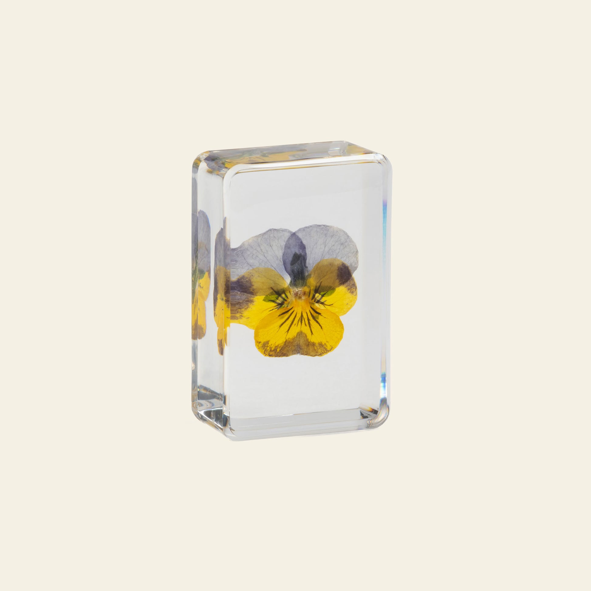 &klevering Violet Cube