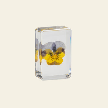 &klevering Violet Cube