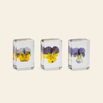 &klevering Violet Cube