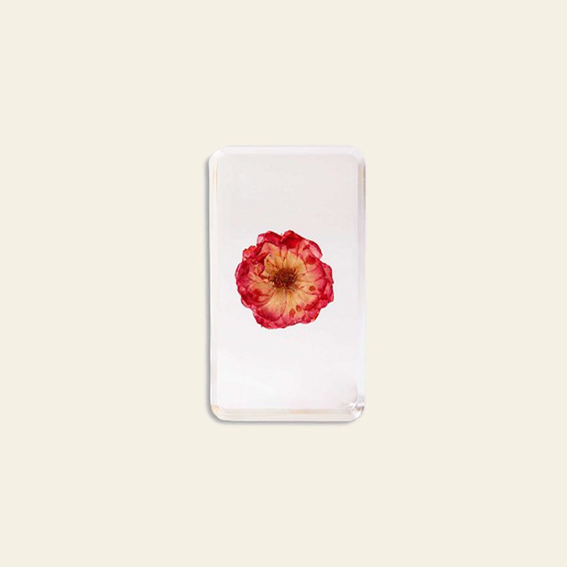 &klevering Wildflower Cube Large China Rose