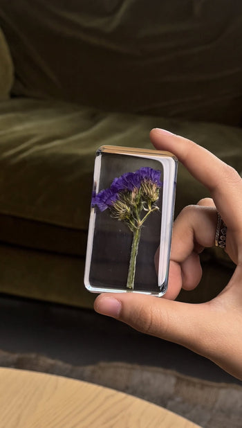 &klevering Wildflower Cube Large Forget-Me-Not