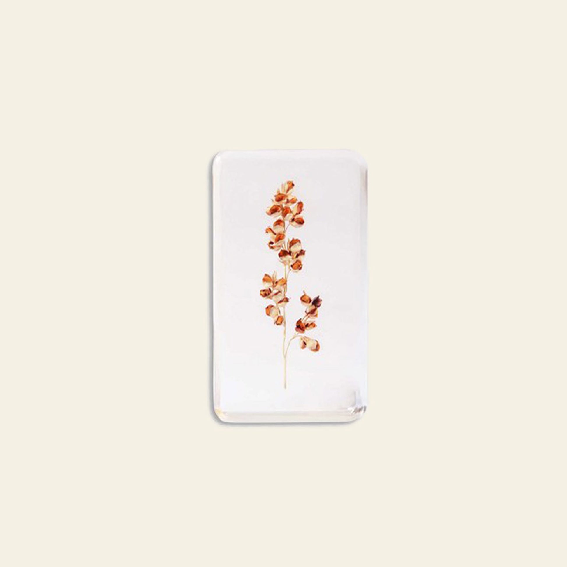 &klevering Wildflower Cube Large Sorghum